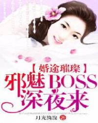 婚途璀璨:邪魅BOSS深夜来