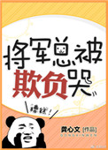 将军总被欺负哭