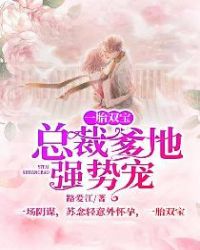 一胎双宝:总裁爹地强势宠