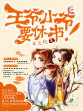 王爷,小爷要休书!