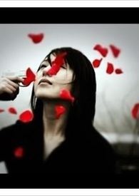 对不起,我不爱你。